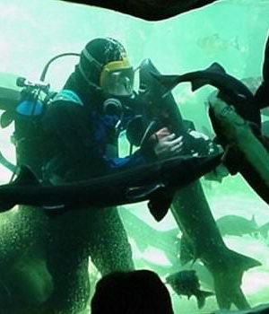 Aquarium Périgord Noir - animation plongeur et poissons
