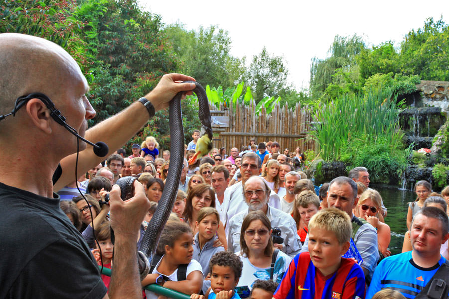 Aquarium Périgord Noir - serpents et reptiles